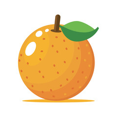 Orange fruit vector illustration.