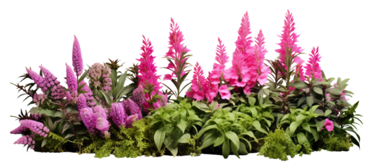 Garden flowers cut out