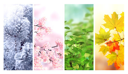 Four seasons of year. Set of vertical nature banners with winter, spring, summer and autumn scenes. Nature collage with seasonal scenics - Powered by Adobe