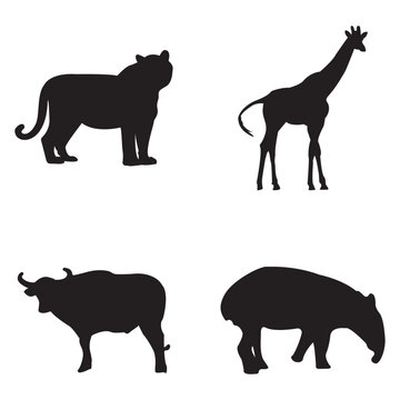 Wildlife Silhouettes Collection. Animals In the Zoo. Isolated Vector Icon.