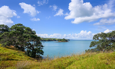 Fototapeta na wymiar Views of the Hauraki Gulf under a blue sky with white clouds. Waiheke Island. New Zealand.