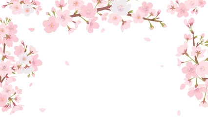 Fototapeta na wymiar 桜のフレーム素材（フルHDサイズ 16:9）