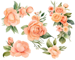 elegant pink spring flowers watercolor illustration