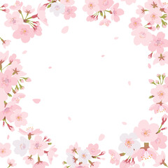 Fototapeta na wymiar 桜のフレーム素材