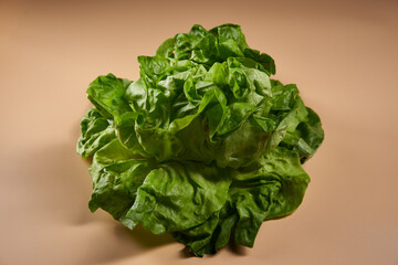 Fresh lettuce on beige background