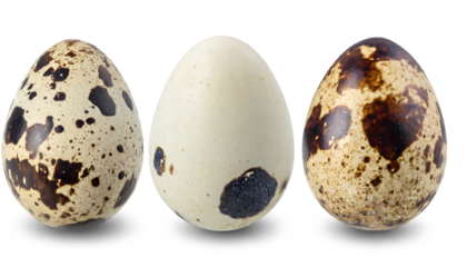 Three quail eggs isolated on white background.