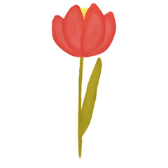 Red Watercolor Flower