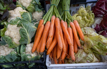 Fresh carrots, cauliflower, and lettuce sold at the local market