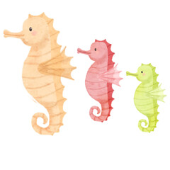 seahorse