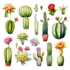 Watercolor  set of cacti and succulent plants 