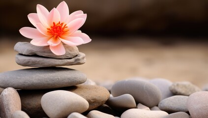 Fototapeta na wymiar Wellness, aromatherapy, pink flowers in spa