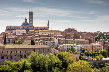 Siena, Italy - July 26, 2023: The cityscape of Siena, in the hearth of Tuscany - obrazy, fototapety, plakaty