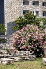 Ruins of a necropolis from Roman times by Main Promenade, near City Walls, Budva, Montenegro