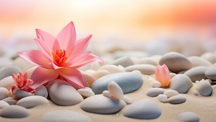 spa and wellness wallpaper with pink flowers and stones