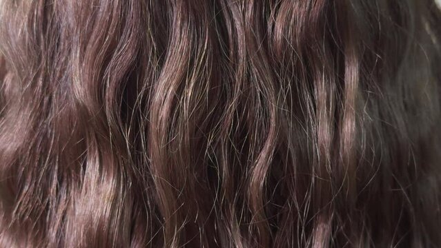 Texture of long curly female hair close-up.