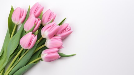 Top view pink tulips on isolated white background. Mother's day concept