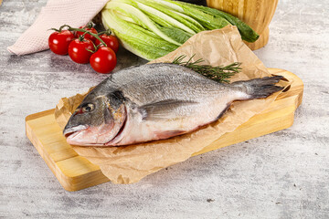 Raw dorada fish served rosemary
