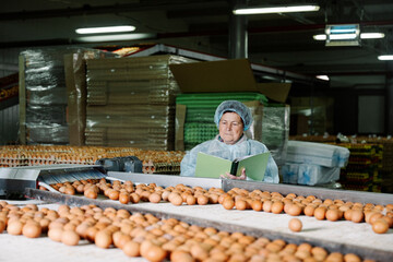 Veterinarian preparing report over eggs in poultry farm