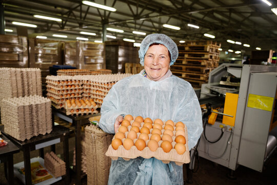Veterinarian holding crate of eggs in factory