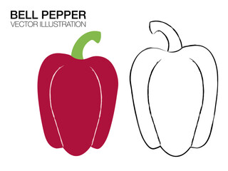 vector illustration of a bell pepper