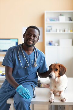 Happy veterinarian sitting with beagle dog on table in clinic