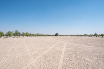 Lisaili empty quarter seamless desert sahara in Dubai UAE middle east with wind paths and sand...