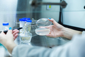 Scientist holding petri dish with inoculation loop at laboratory