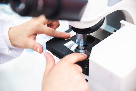 Hands of microbiologist positioning sample in microscope
