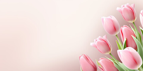 Woman's day banner, copy space, pink tulips on a pink background 