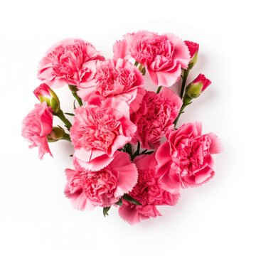 Bouquet of carnations on a white background