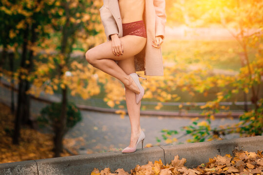 Fashion image of perfect long slim woman legs in autumn park.