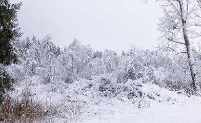 Verschneite Winterlandschaft
