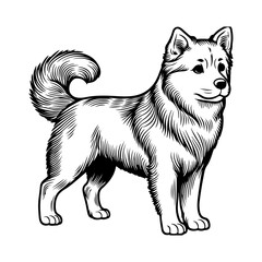 Cute Dog Coloring Pages, Dog Character Vector Illustration, Kids Coloring Pages