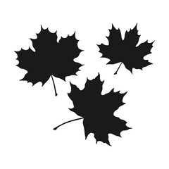 Set of silhouette  maple. Hand drawn autumn vector illustration.