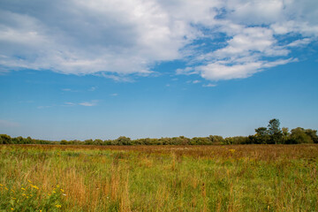 Obraz premium Sky with clouds over a summer field. Country landscape without people with empty space for text.