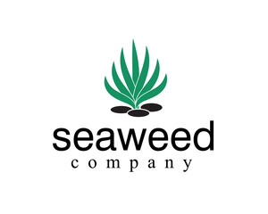 seaweed abstrat logo design template