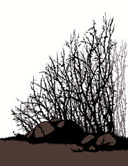 Vector drawing. The thorn bushes