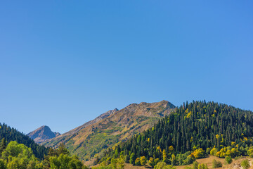 mountains, sky with copy space place and green forest. Place for trekking tourism