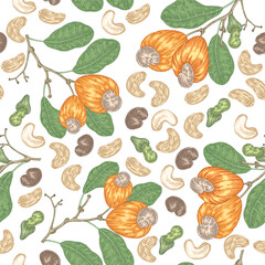 Cashew seamless pattern. Hand drawn Cashew tree nuts and leaves. Vector illustration in vintage style.