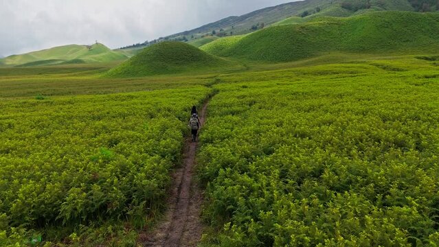 Witness the serene beauty of Bromo Mountain's savanna as horse riders traverse its picturesque landscape, captured gracefully from above by a drone.