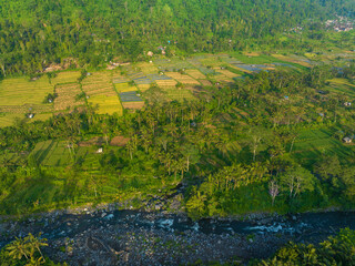 Aerial view of rice fields in Sidemen region of Bali, Indonesia