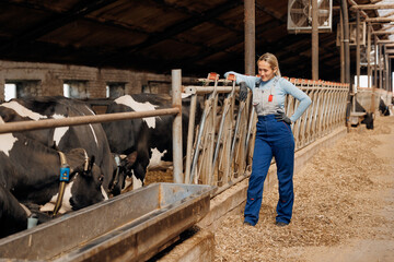 Happy smiling young woman farmer in bard of cows on dairy farm. Agriculture industry, farming...