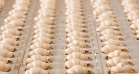 French croissants from puff pastry dough pieces in metal form on automatically line conveyor....