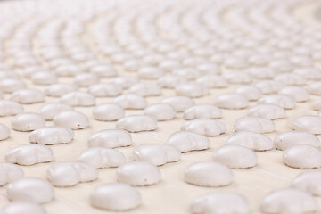 Conveyor line for production gingerbread cookies with white glaze at sweet factory. Modern plant for biscuit sugar cake.