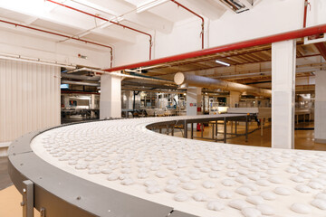 Conveyor line for production gingerbread cookies with white glaze at sweet factory. Modern plant for biscuit sugar cake.