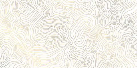 Vector line contour map texture, typography abstract pattern, golden mountain landscape grid © marylia17