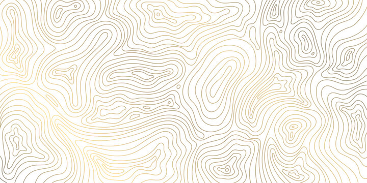 Vector line contour map texture, typography abstract pattern, golden mountain landscape grid
