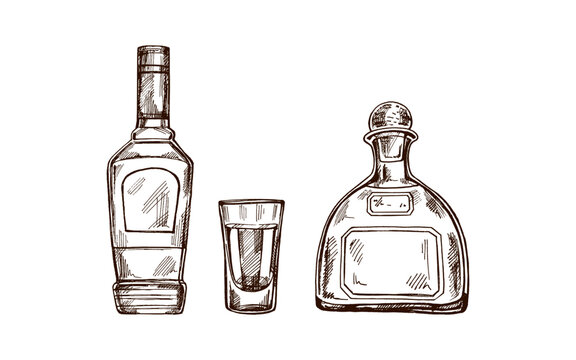 Hand-drawn bottles of tequila and shot glass with tequila. Design element for the menu of bars and in engraving style. Mexican, Latin America.