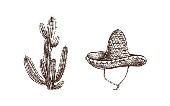 Hand-drawn sombrero and cactus sketches. Vintage drawing of hat. Vector black ink outline illustration. Mexican culture, clothes, Latin America..