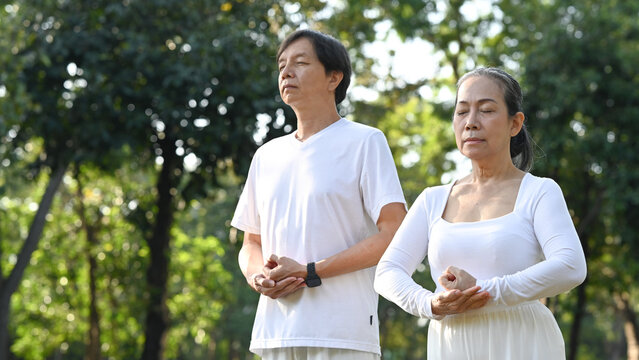 Image of peaceful senior couple doing Qi Gong or Tai Chi exercise in the summer park.